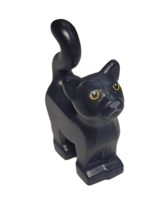 Black Cat Standing, 13786pb03